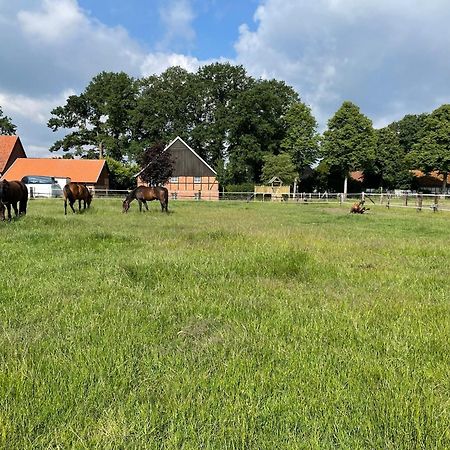 Landhaus Am Esch فارندورف المظهر الخارجي الصورة