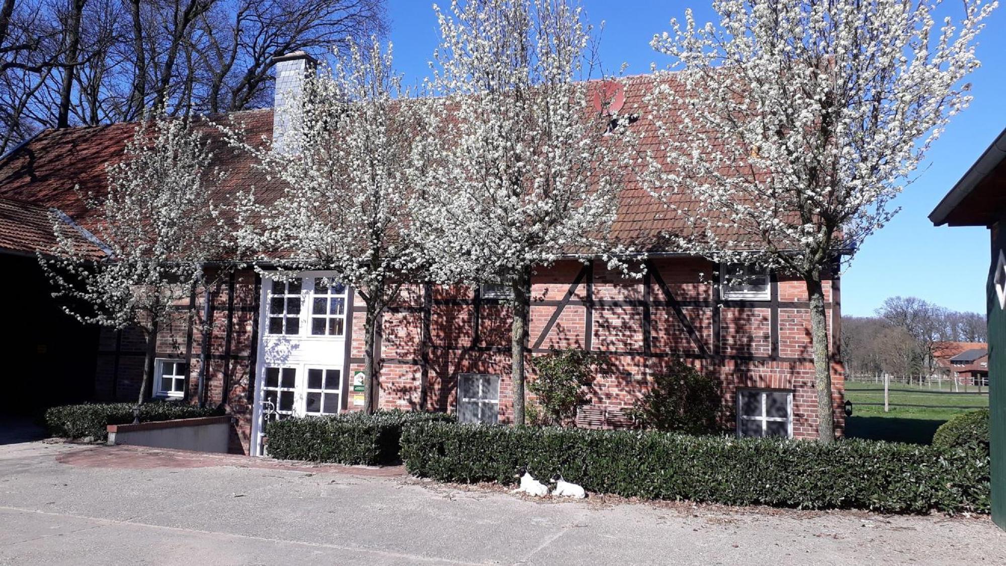 Landhaus Am Esch فارندورف المظهر الخارجي الصورة